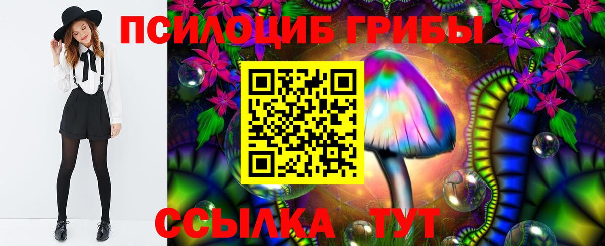 Псилоцибиновые грибы Psilocybine cubensis Корсаков