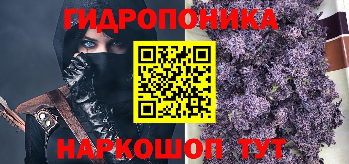 Каннабис гибрид Корсаков